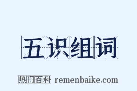 五识组词是什么意思的图片
